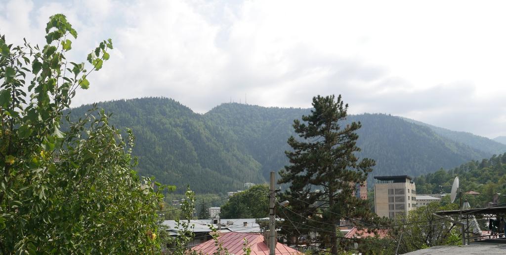 Luxury Apartment At Pirosmani 22 In Central Borjomi ภายนอก รูปภาพ