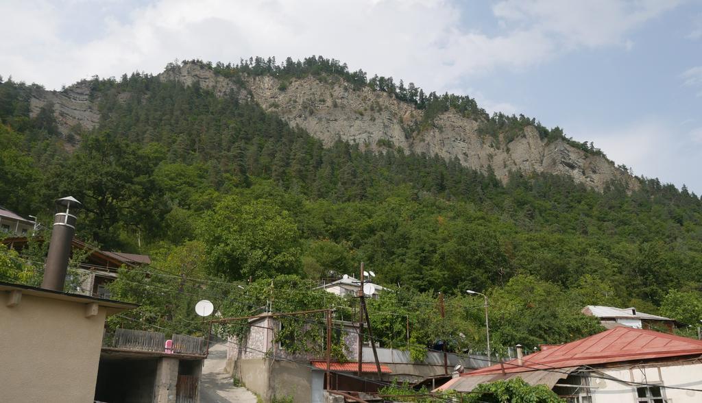 Luxury Apartment At Pirosmani 22 In Central Borjomi ภายนอก รูปภาพ